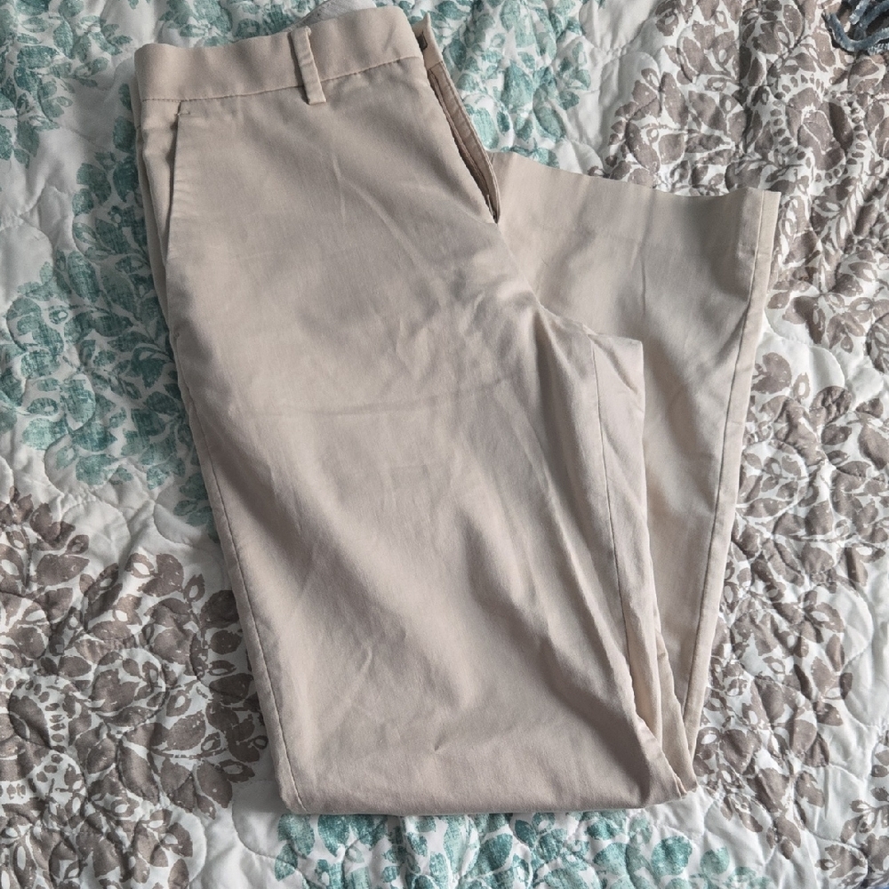 Express Dress Pants
